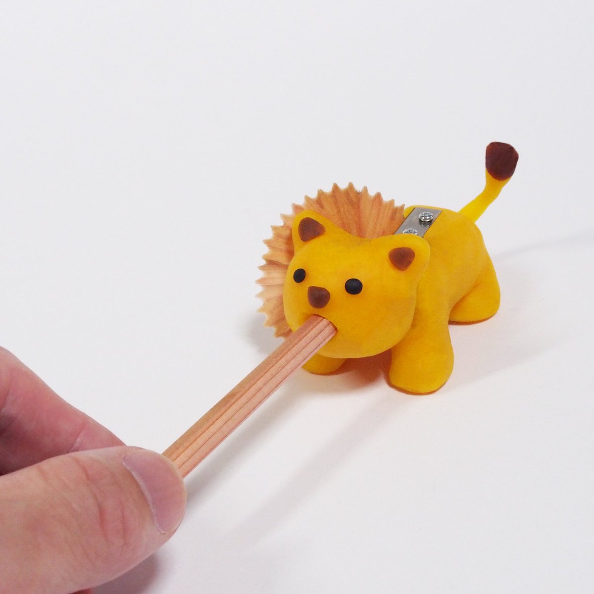 nulpuleunsonamu's tweet image. 사자 연필 깎기

연필을 깎으면 아기 사자가 어른으로 변화.