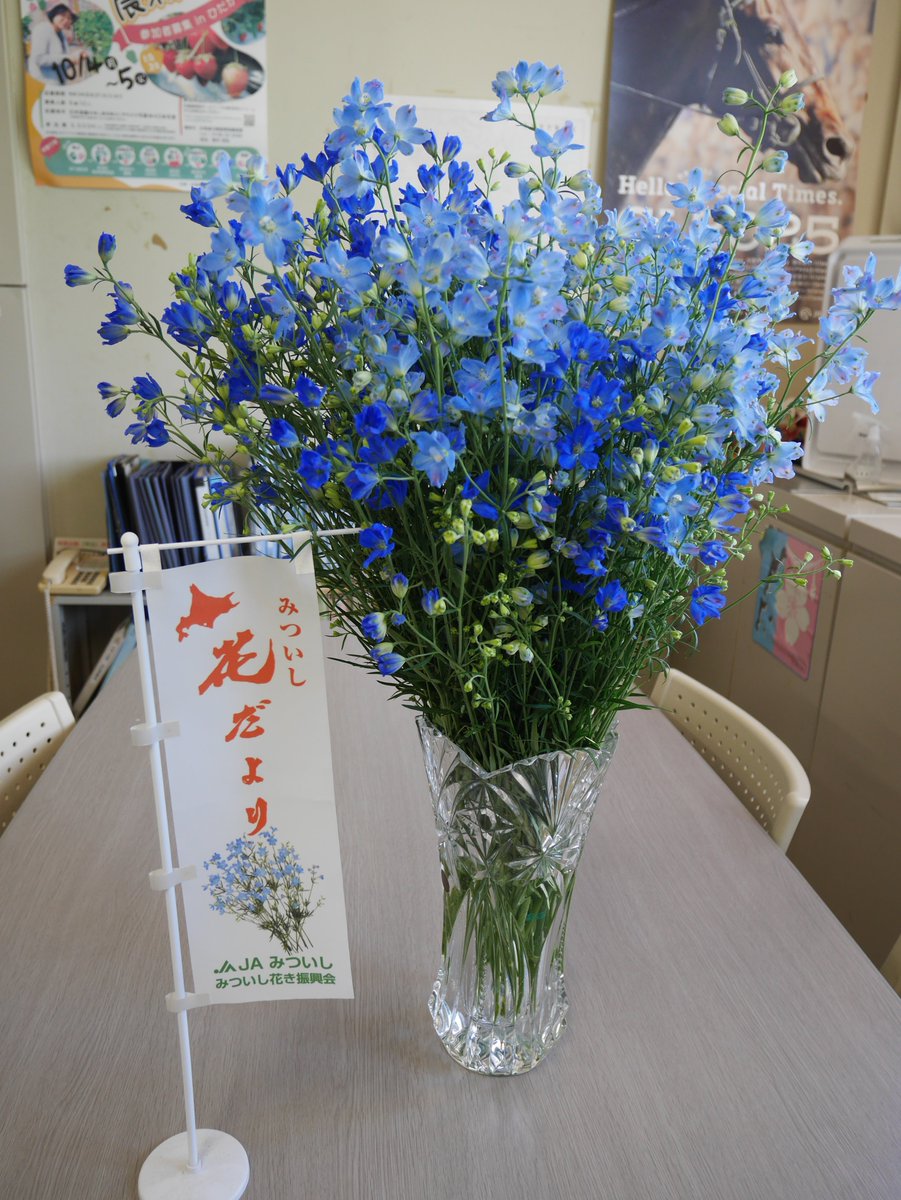 nanairohidaka's tweet image. \毎日の生活にお花をプラス/
#JAみついし が全道一の生産を誇る #デルフィニウム 💐
JAの澤田組合長から髙見振興局長へ花束の贈呈が行われました✨
透き通るブルーが見る人の心に涼しさを届けてくれます🎐
🌸8月7日は #北海道花の日 🌸
毎日の生活にデルフィニウムをプラスしてみませんか?