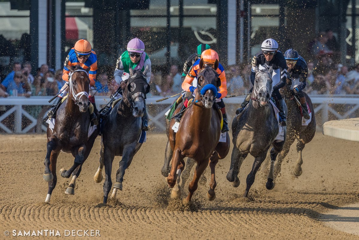 sdeckerphoto's tweet image. Last year's renewal of the Jim Dandy was won by Fierceness (left), who also won the Travers. This year, Fierceness is headed for the Whitney on August 2.
Shot for the @saratogaspecial
