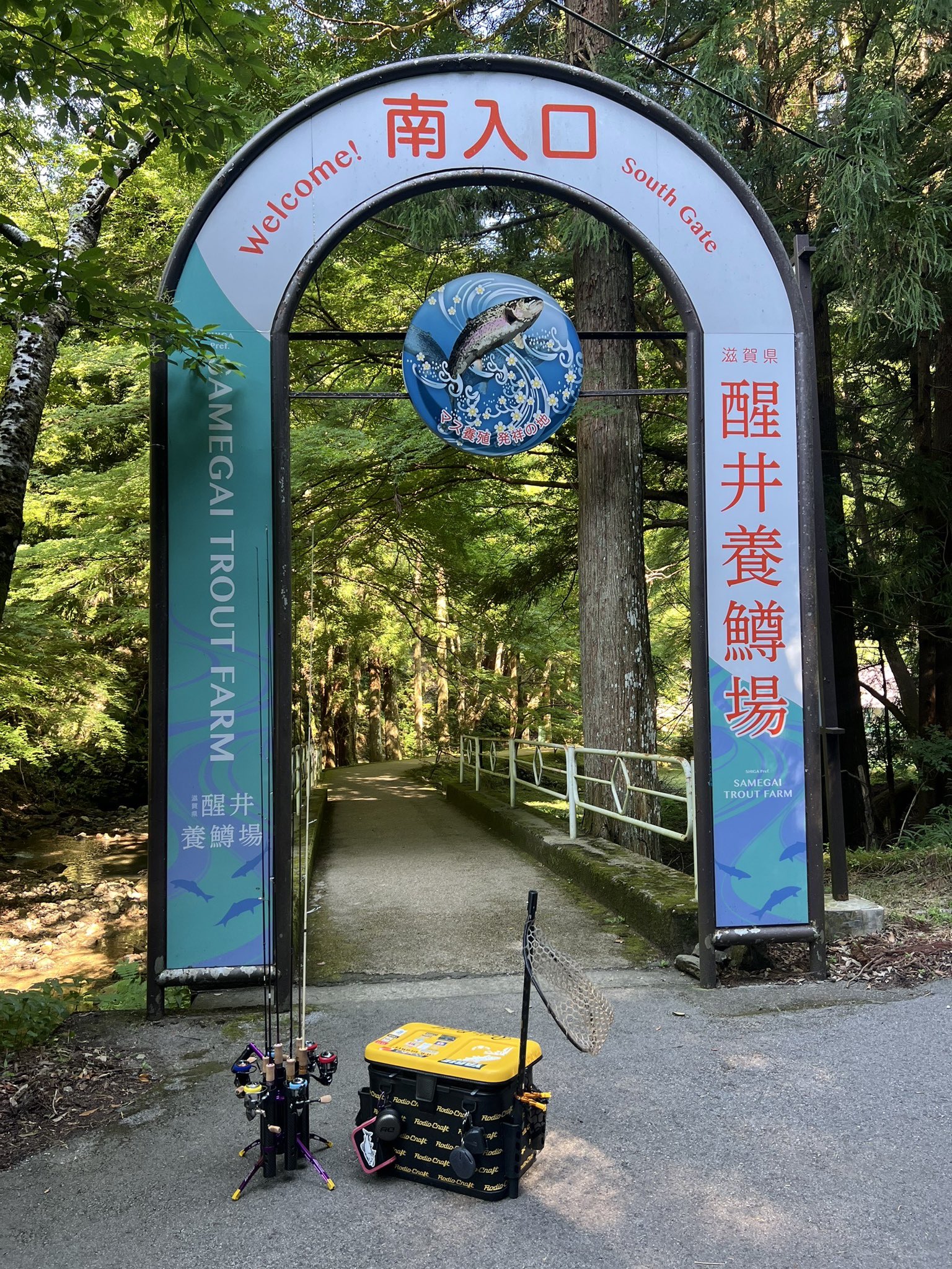 エリアトラウト　未使用の皆様 釣りキッチー on X: 