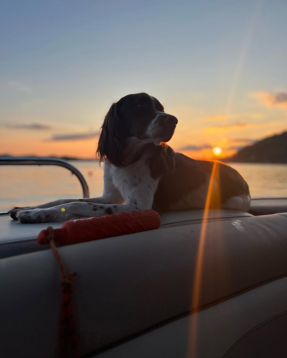 Visit Adirondacks (@visitadks) on Twitter photo It's not just about where you go in the Adirondacks. It's who you go there with. 
πΈ @rossandrylee_ #VisitAdks 
π Lake Bonaparte It's not just about where you go in the Adirondacks. It's who you go there with. 
πΈ @rossandrylee_ #VisitAdks 
π Lake Bonaparte