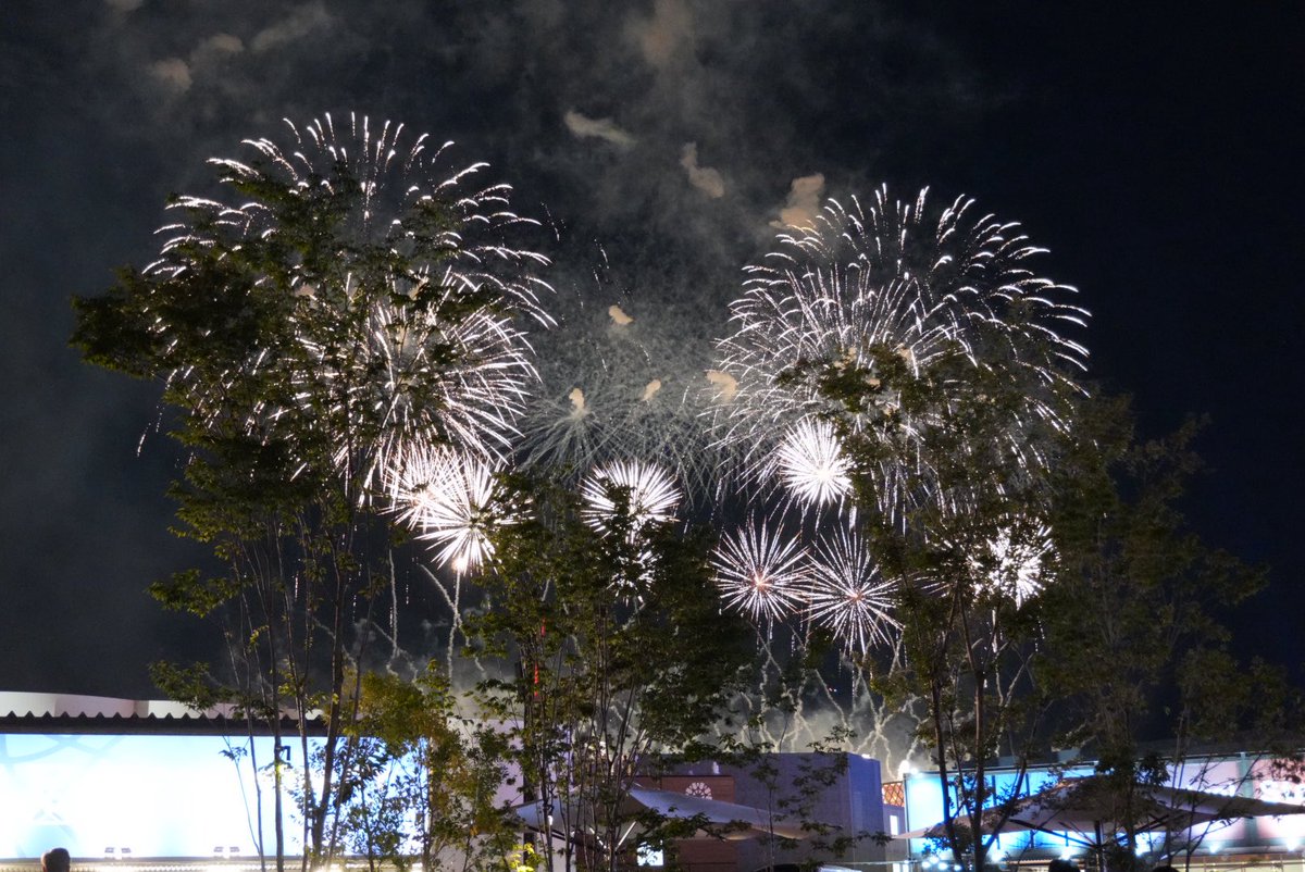 HanshinToratora's tweet image. 昨日の万博はたまたま花火の日と被り、折角なので見て帰りました。
イタリア感で新しいダヴィンチを見てサーキュラーちゃんにも会えて大満足😆
ハンガリーで2体目のぬいが半額との事で購入。万博で散財し過ぎて困ってるけど今だけだから良いよね😘