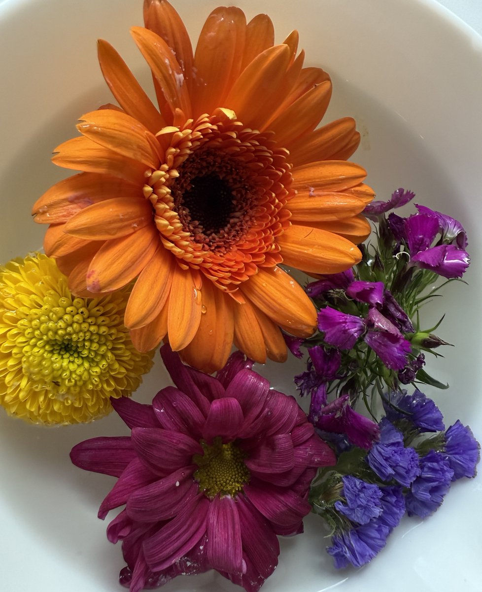 SamthePoet0731's tweet image. Somedays I feel like a weirdo. When I went on a company golf outing, I spent more time photographing old willow trees, recording bird song by the wetlands, and taking photos of flowers. Today, we had catering in the office, and there were flowers included as part of the…