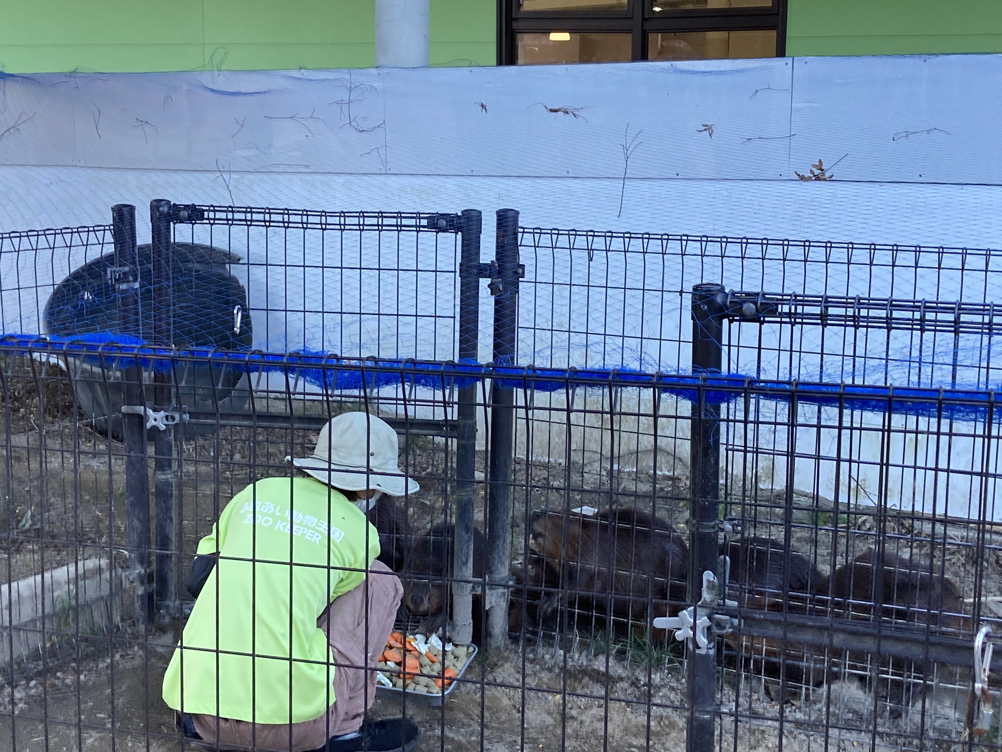 だっちゃん だっちゃんTV (@bamodachin) / X