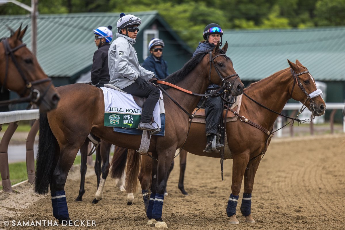 sdeckerphoto's tweet image. GSW Hill Road, fifth in the @BelmontStakes, is entered in the Jim Dandy on Saturday at Saratoga. Irad Ortiz, Jr., who rode him in the Belmont, has the mount.
Shot for the @saratogaspecial