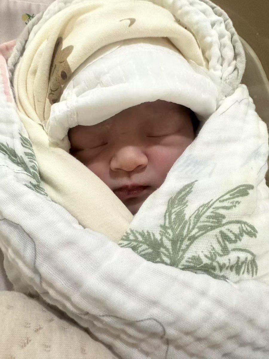 【报喜篇】
✨ 「恭喜Z先生喜提5.5斤试管小公主！🎀  娇小却坚韧，早到的天使更懂爱——  感谢信任，让我们见证这份生命的奇迹」咨询微信：a18025307951
#HIV生子 #三代代孕 #失独代孕 #包成功代孕 #洗精代孕 #三代包成功 #选性别代孕 #女性代孕 #男性代孕 #夫妻代孕 
#试管婴儿 #试管助孕 #广州代孕