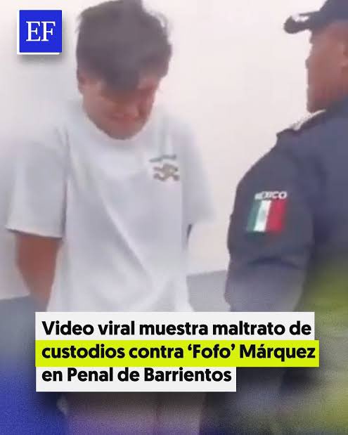 Pelatzo tweet media