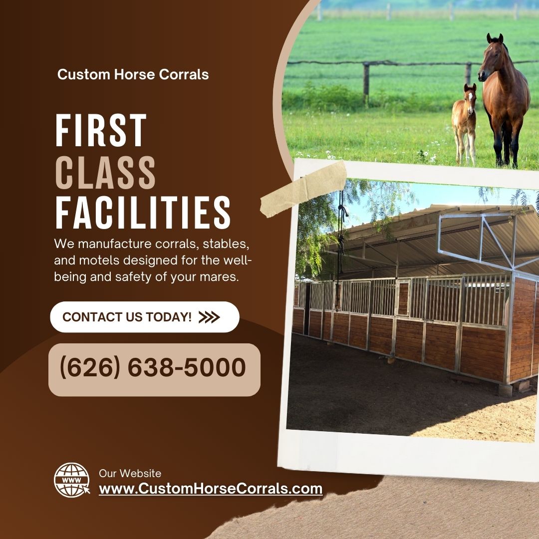 CHorseCorrals's tweet image. 🤠Más Que un Corral, Un Espacio Seguro Para Tus Caballos 🏇

Tu inversión merece lo mejor. Un mal corral puede costarte pérdidas irreparables. 🛠️ En Custom Horse Corrals, garantizamos seguridad y durabilidad. 📞 Cotiza ahora.
🌐 customhorsecorrals.com
#WesternStyle #StableDesign