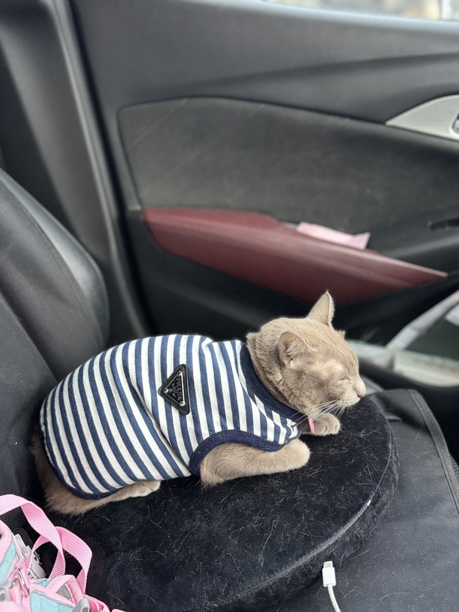 KateKhagi's tweet image. 3 ปีที่มีแต่เธอคนเดียว #โลกทั้งใบ