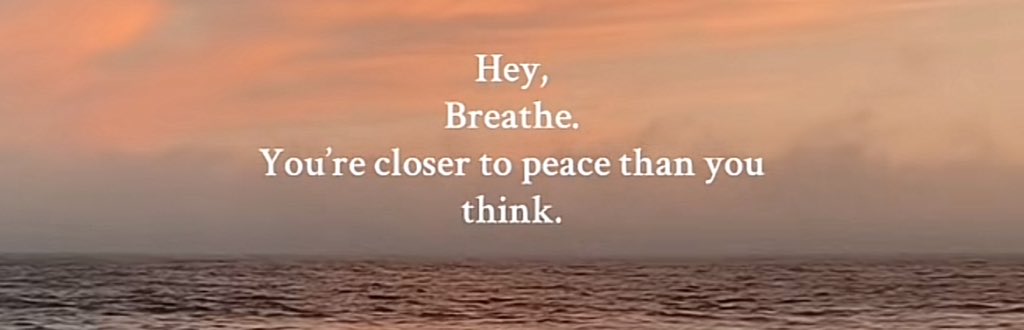 🎃Veronica🕸🕷🌙💚💛🧀 (@spookybatqueen) on Twitter photo 