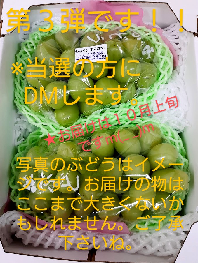 ファームうえぐしのしあわせにっこりおいしいぶどうたち!! (@budoufarmuegusi) on Twitter photo お待たせです‼️
#2025マンスリープレゼントショー第3弾です !
『#シャインマスカット2房入り(約1㌔予定)』を #2名様 に。
これから作りますので、じっくりお待ち下さい。
条件は
①<a href="/budoufarmuegusi/">ファームうえぐしのしあわせにっこりおいしいぶどうたち!!</a>をフォロー
②投稿をリポスト
締切は7月28日12時まで
#ファームうえぐし
#ぶどうプレゼント お待たせです‼️
#2025マンスリープレゼントショー第3弾です !
『#シャインマスカット2房入り(約1㌔予定)』を #2名様 に。
これから作りますので、じっくりお待ち下さい。
条件は
①<a href="/budoufarmuegusi/">ファームうえぐしのしあわせにっこりおいしいぶどうたち!!</a>をフォロー
②投稿をリポスト
締切は7月28日12時まで
#ファームうえぐし
#ぶどうプレゼント