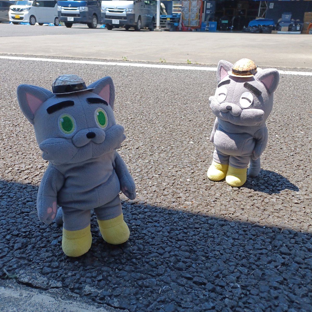 pier21_web's tweet image. おはようございます!
埼玉は32℃☀️暑いです!
リアルにコンクリで目玉焼きが焼けそうです!🍳
本日は午後より外出します、熱中症にならないように気をつけねば💦
#企業公式が毎朝地元の天気を言い合う #企業公式ぬい撮り部