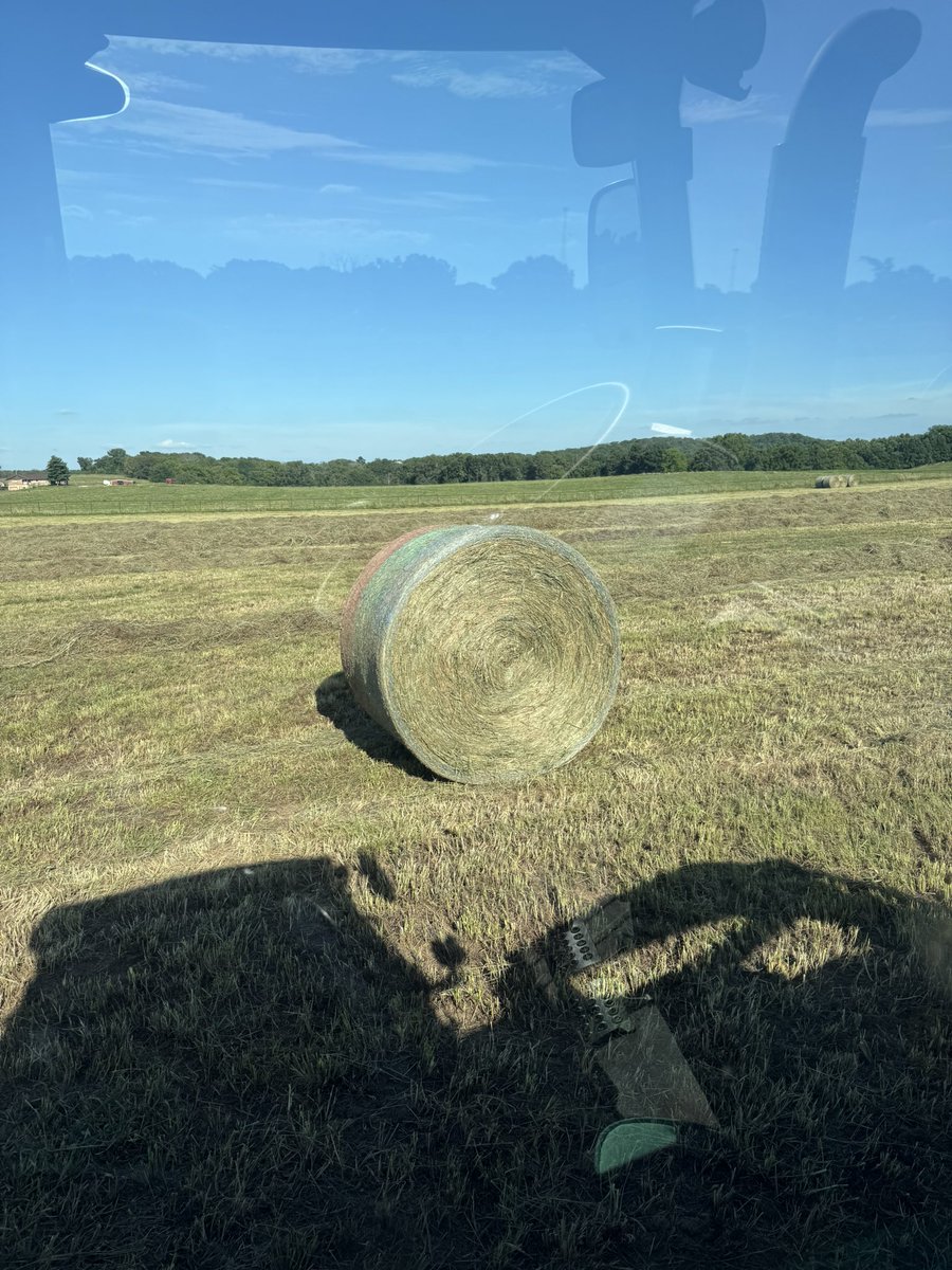 DB (@dbfarms2023) on Twitter photo If you wondering what my day was like this sums it up 279 times I seen this If you wondering what my day was like this sums it up 279 times I seen this