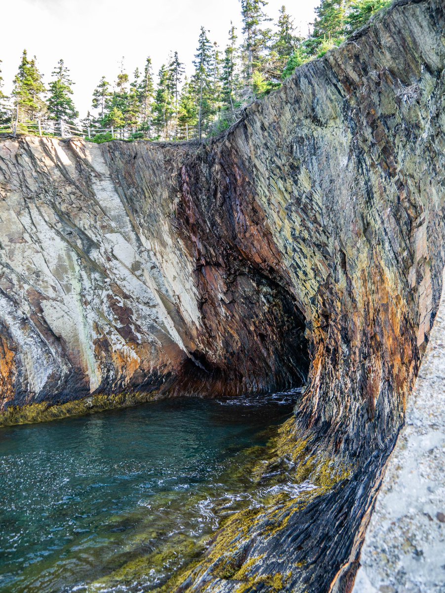 Don’t talk to me about Heung-min Son news I’m observing nature