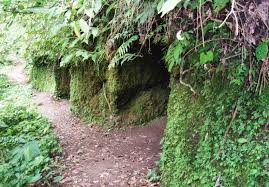 Hi Seram tweet media