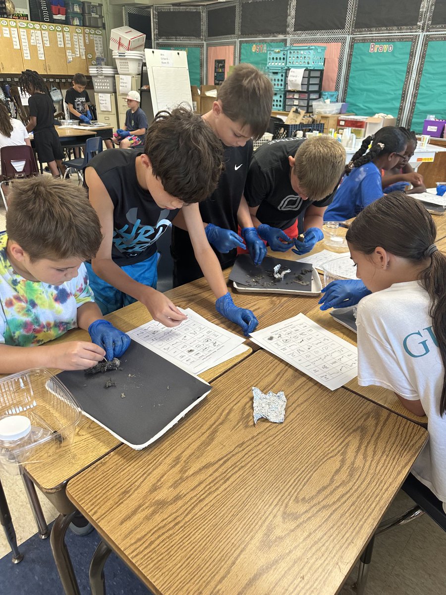 Tiffany Ziegelhofer (@tziegelhofer) on Twitter photo <a href="/ARPanthers/">Austin Road School</a> campers had a hoot dissecting owl pellets today! 🦉 <a href="/RyanBrood4/">Carolyn Ryan</a> #ARSTEMCamp2025 <a href="/ARPanthers/">Austin Road School</a> campers had a hoot dissecting owl pellets today! 🦉 <a href="/RyanBrood4/">Carolyn Ryan</a> #ARSTEMCamp2025