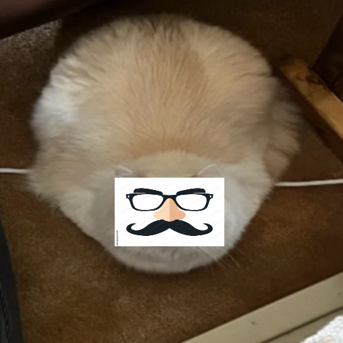 Pibby Adin Ross (reead pinned) tweet media