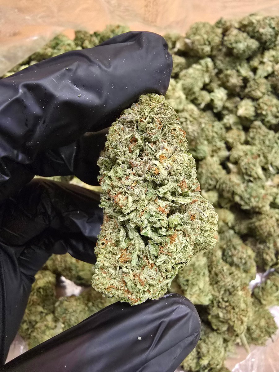 WeedHouseDD's tweet image. MOONBOW 馃寽
Zkittlez x Do-Si-Do
28g = 121.50
Use Code "SALE10" at checkout
Must Be 21+ 馃憞
dieseldispensary.shop
