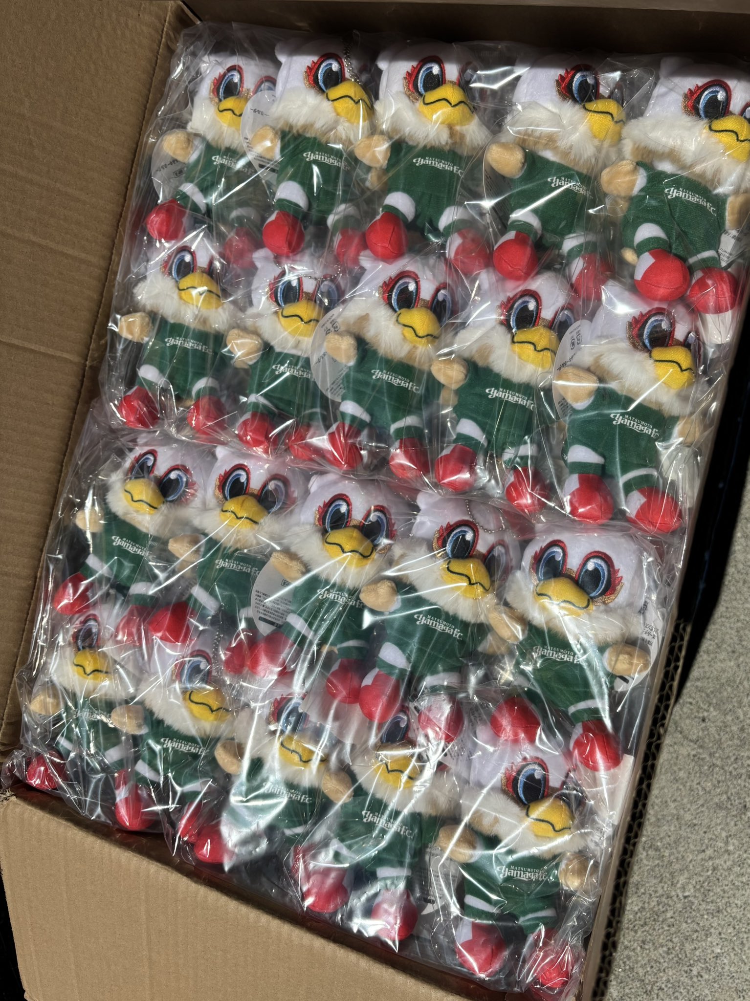 ガンズくん　キーホルダー マンホールコースター型キーホルダー(ガンズくん) | 松本山雅FC