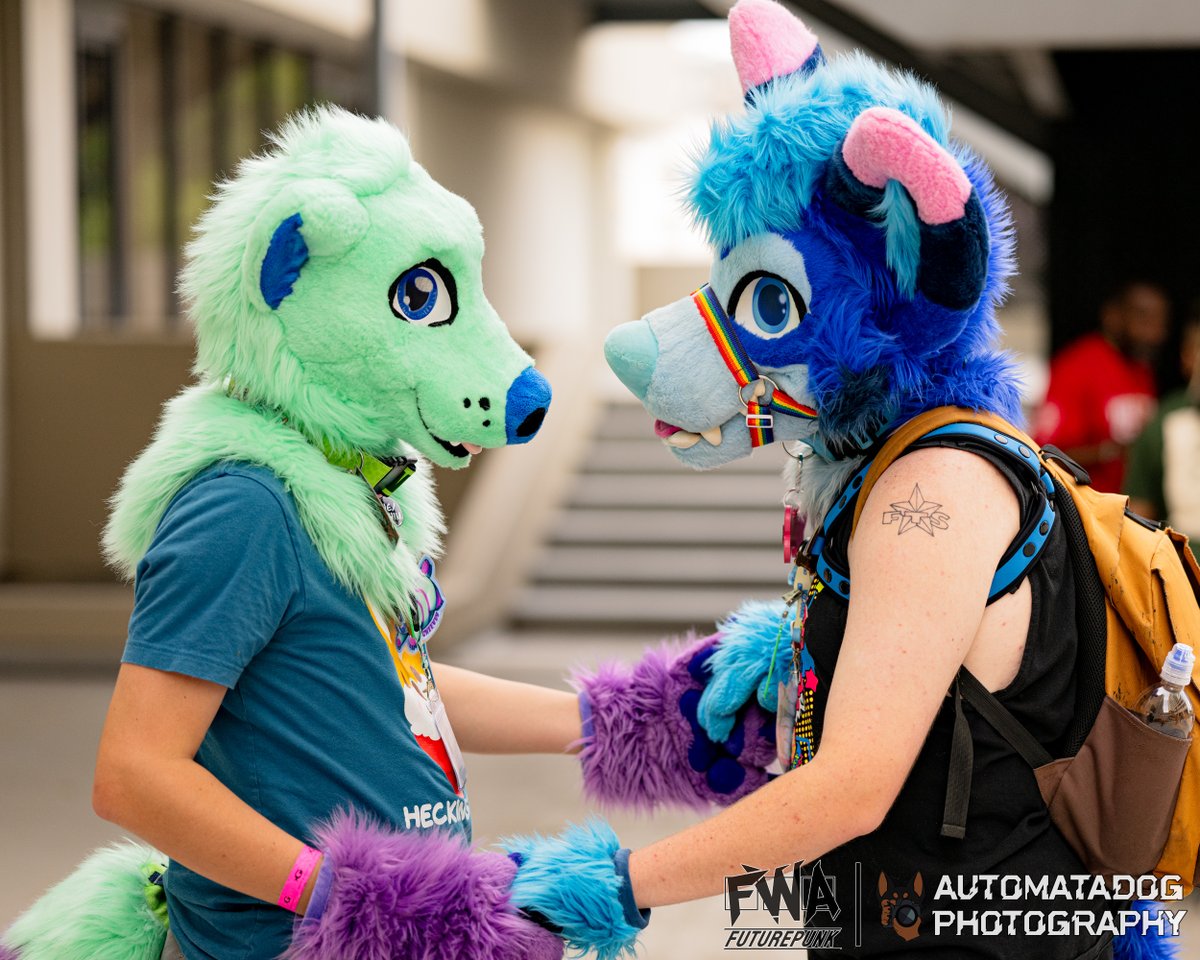 AutomataDog's tweet image. Cheevey and BP at the FWA25 Mock-Tail Masquerade
🐻❄️: @CheeveyBear
🐺🐕: @GayBluDog
#Furry #Fursuit #FWA
