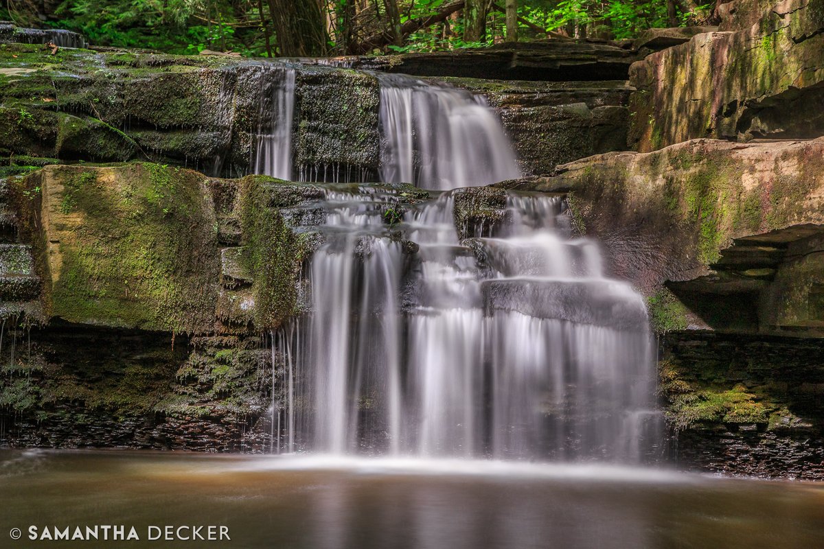 sdeckerphoto's tweet image. A 30 second exposure taken at the Christman Sanctuary in Duanesburg, NY, 2016.