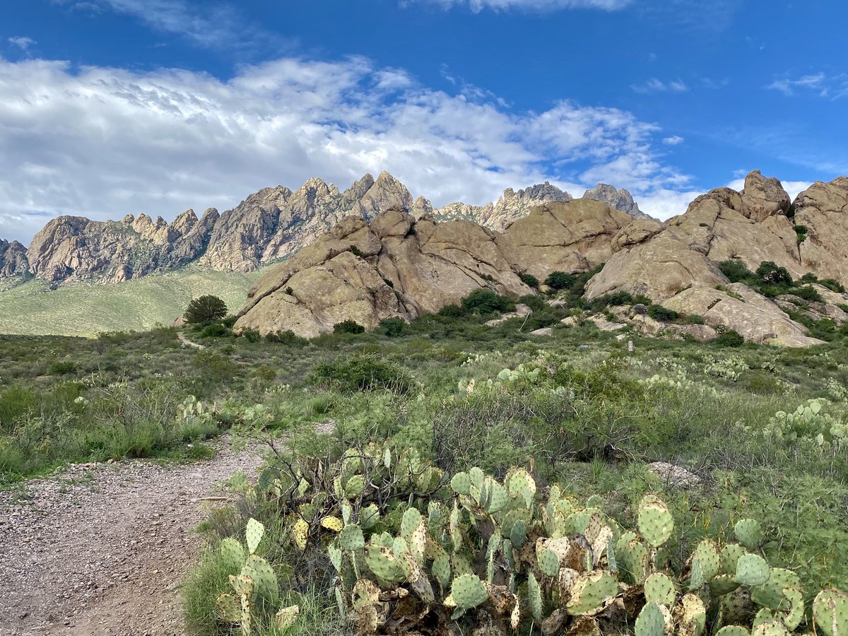 Chipper24's tweet image. The power of the monsoons have made the Mesilla Valley and the Organ Mountains lush green. Yes, I live in a beautiful place.