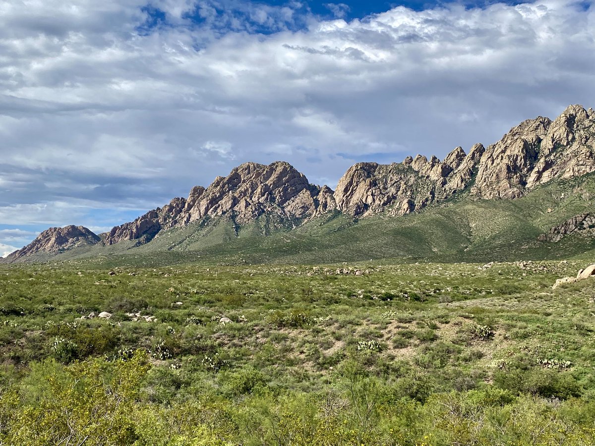 Chipper24's tweet image. The power of the monsoons have made the Mesilla Valley and the Organ Mountains lush green. Yes, I live in a beautiful place.