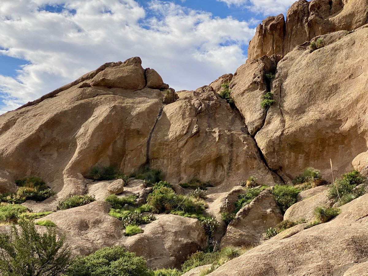 Chipper24's tweet image. The power of the monsoons have made the Mesilla Valley and the Organ Mountains lush green. Yes, I live in a beautiful place.