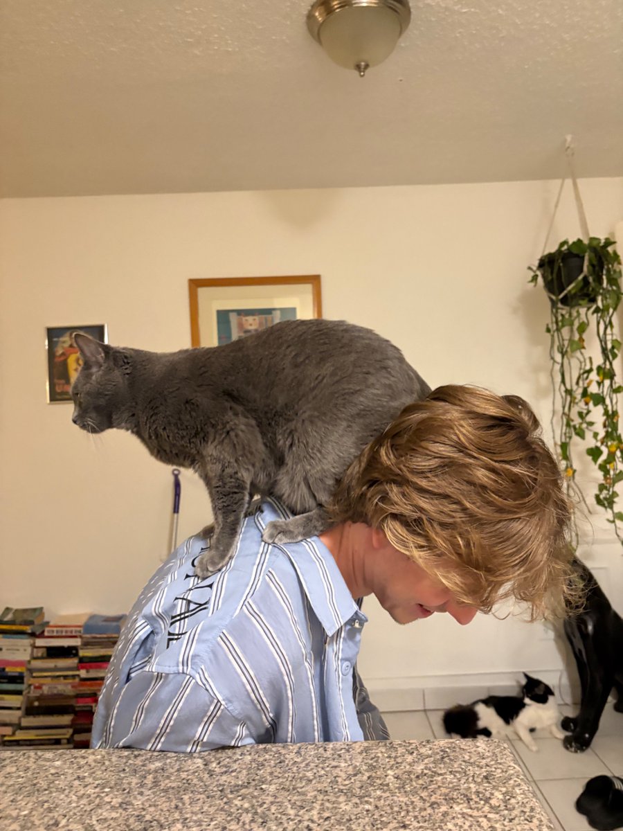 This is how I greet all of my moms friends when they come over #CatsofTwittter