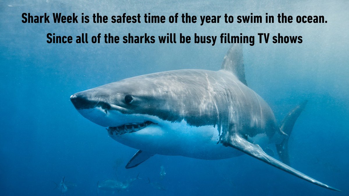 Angel - Grateful tweet media