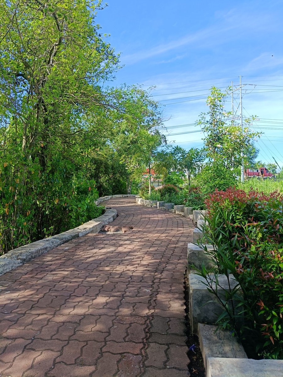 Alexander Jubal Acollador tweet media