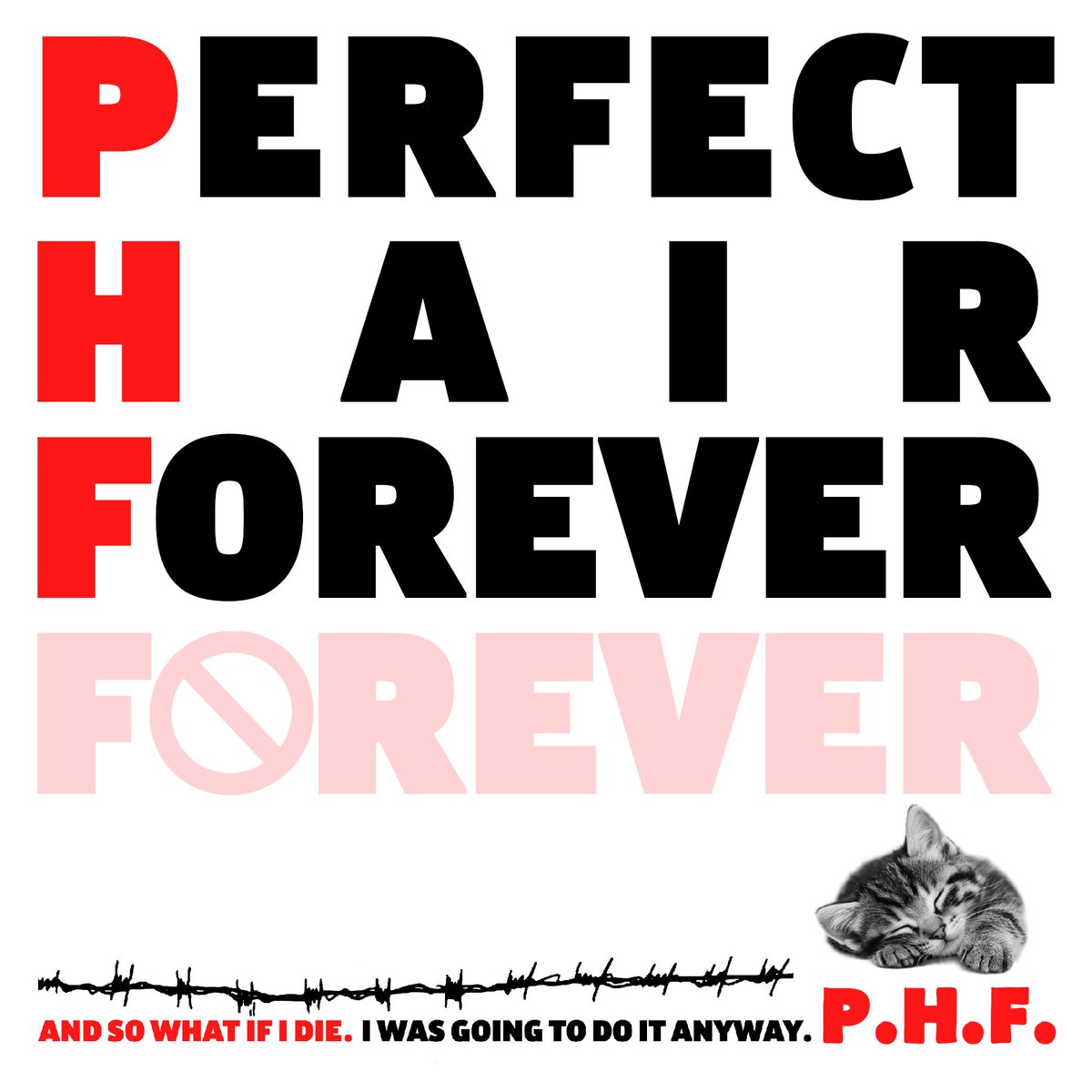 ₍ᐢᐢ₎ tweet media