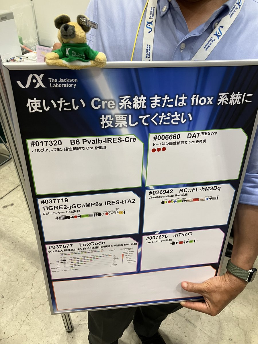 JAX_Japan's tweet photo. キッチンカーの近くでお待ちしております!ぜひ投票しに来てください!
#第48回日本神経科学大会
#Neuroscience2025
#JAXJapan https://t.co/cbI8NCCGrR