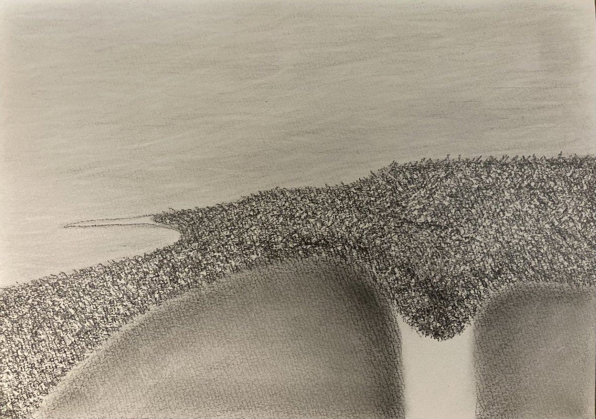 Minoru Kogishi (@mkogishi15702) on Twitter photo 