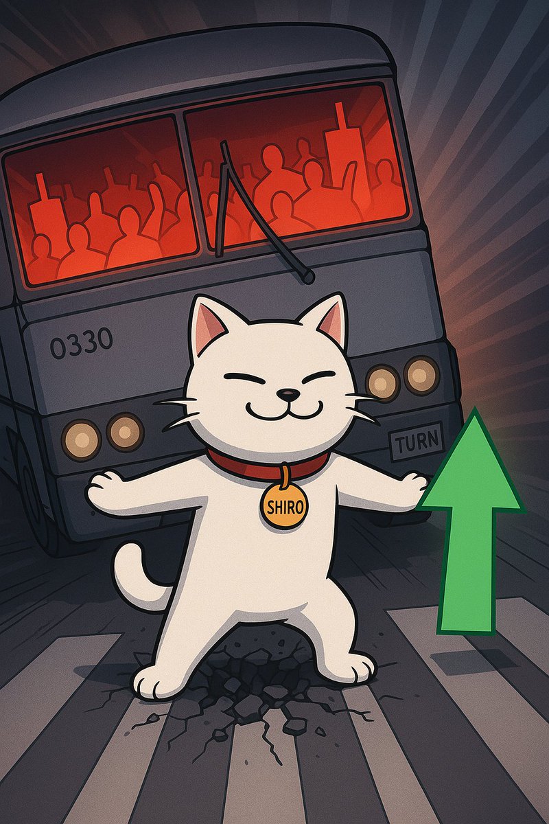 GrumpyX_eth's tweet image. $Shiro holding the line while the bears rage.