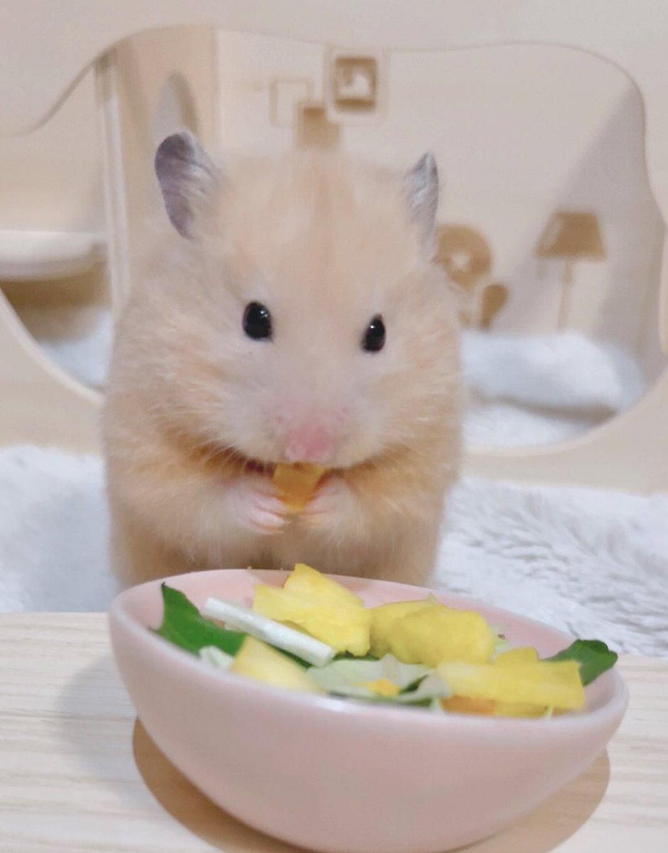 o3o2_sss's tweet image. 