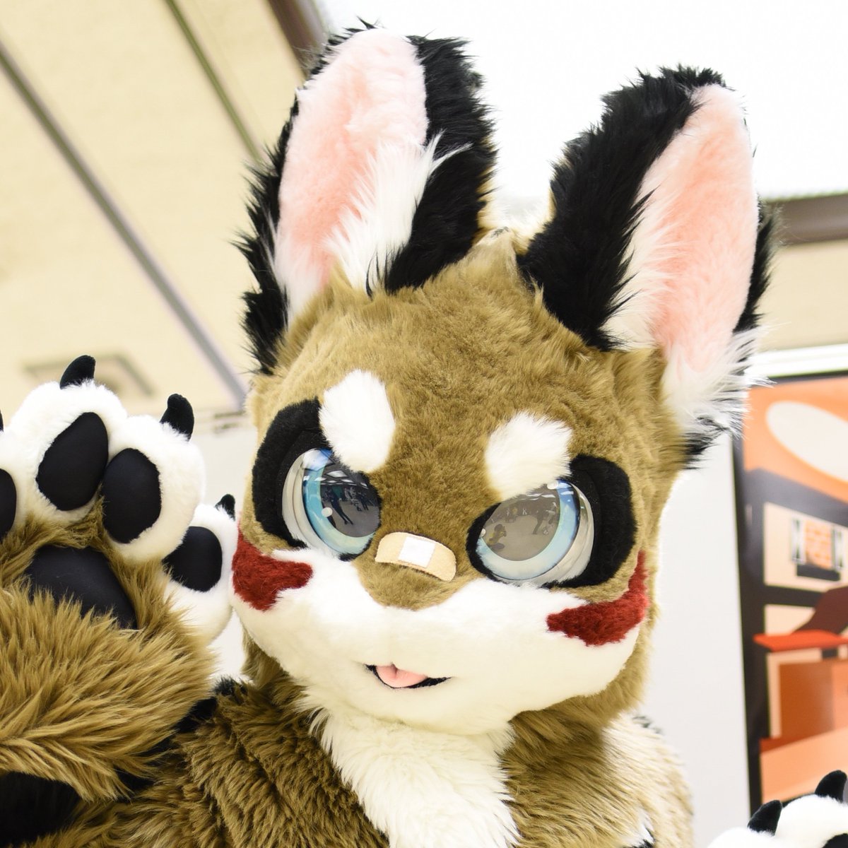 #新しいプロフィール画像