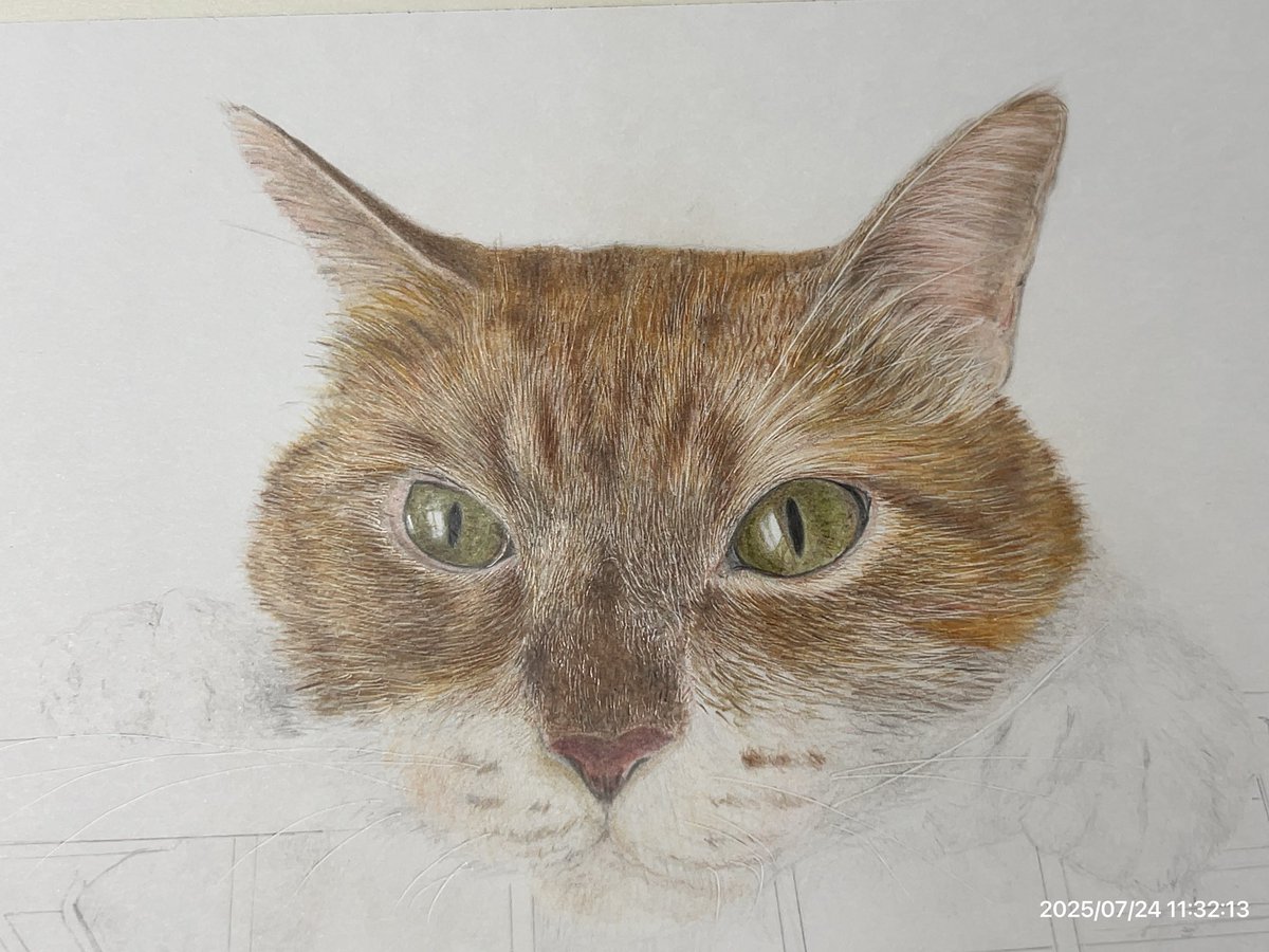 リアルな色鉛筆画