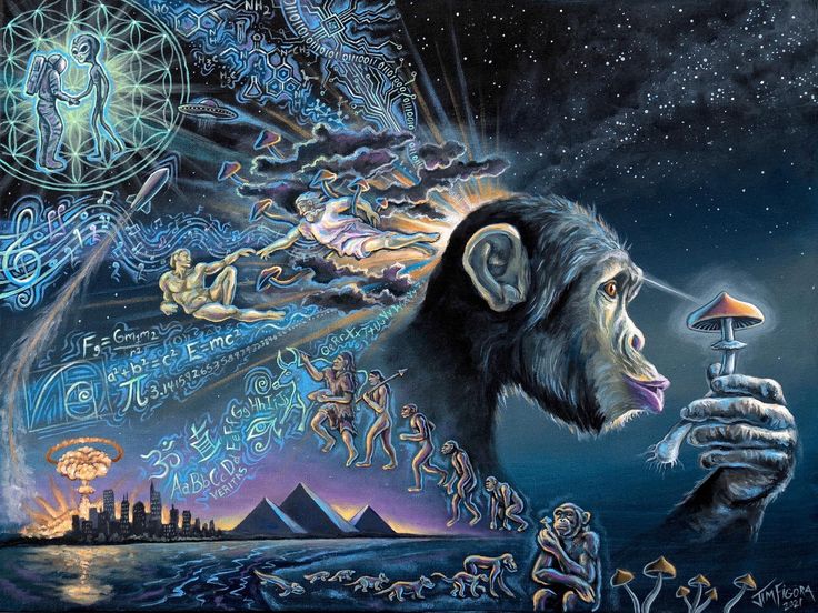 Truthpolex's tweet image. Dear algorithm, show this post only to people who can figure out what this picture depicts 👁️
