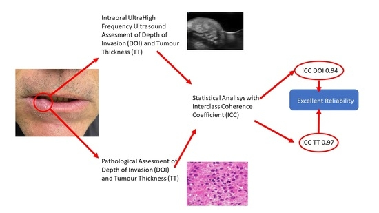 JCM_MDPI's tweet image. #mdpijcm
🩺Don&apos;t miss this article
#oralcancer
Reliability of #Ultrasonographic Assessment of Depth of Invasion and Tumor Thickness in Intraoral #Mucosa Lesions: A Preliminary Experience
🎯Citations 6
👉mdpi.com/2769962
@MedPharma_MDPI @Unipisa