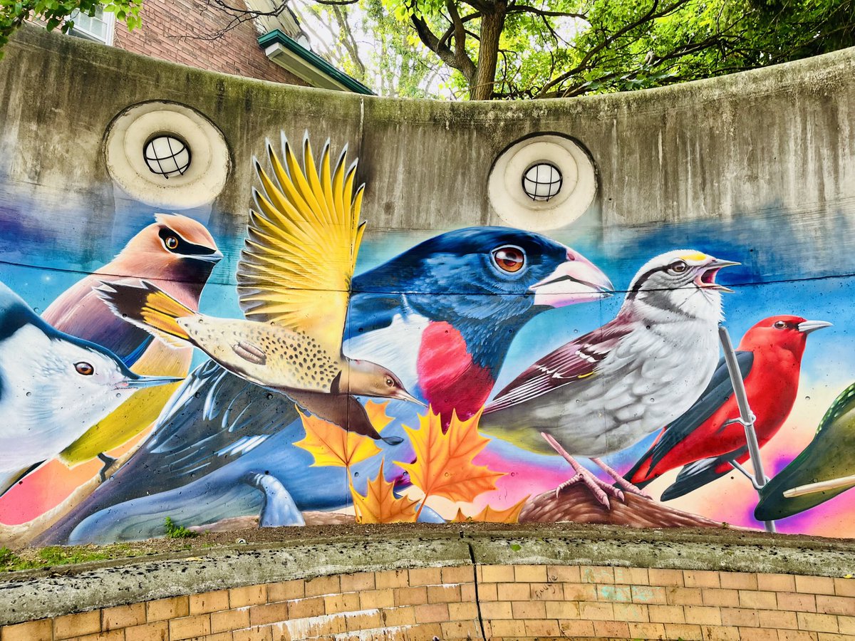 wesleymoir's tweet photo. birding at dupont station https://t.co/maSxk1oCjs