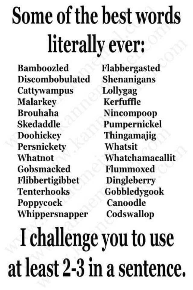 I use most of these words all the time haha. How about you?