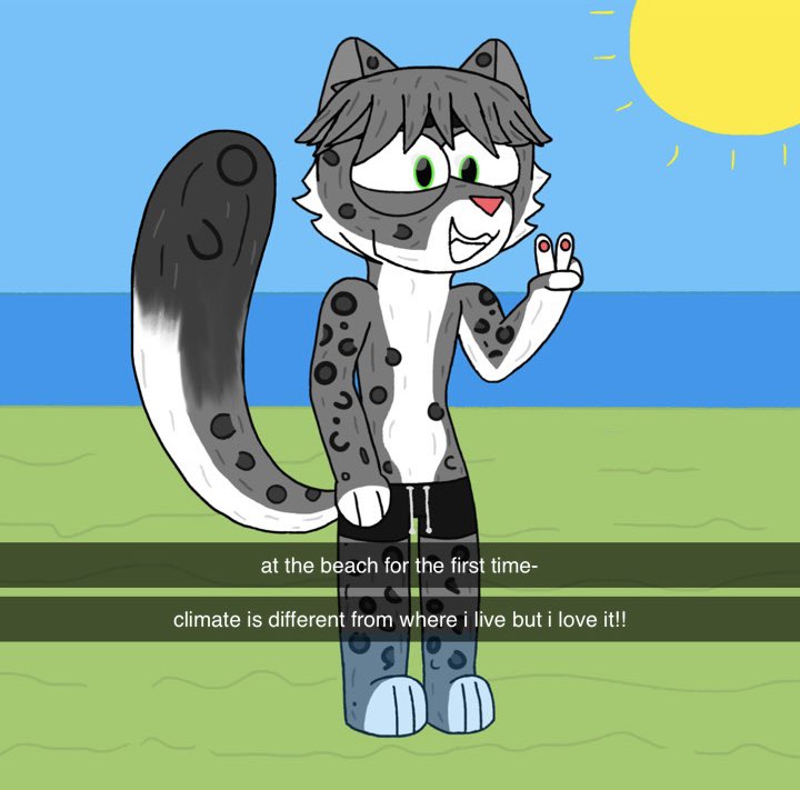 GuestyIsAWeirdo's tweet image. my snow leopard fursona at the beach in a new climate for the first time!! #furry #furryart #artmoots