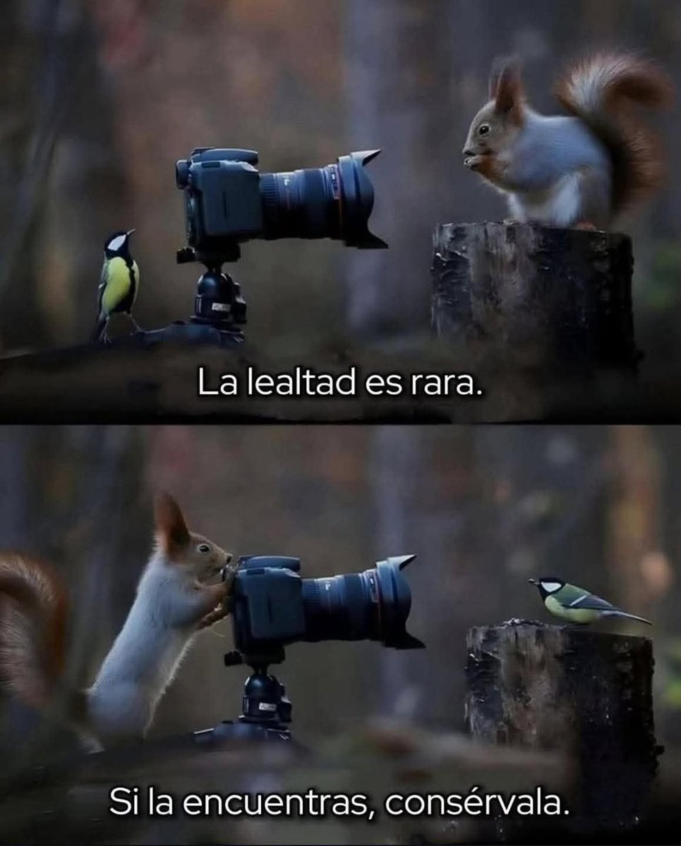 Bandidosfrasess's tweet photo. https://t.co/kQ9kj6GfFF