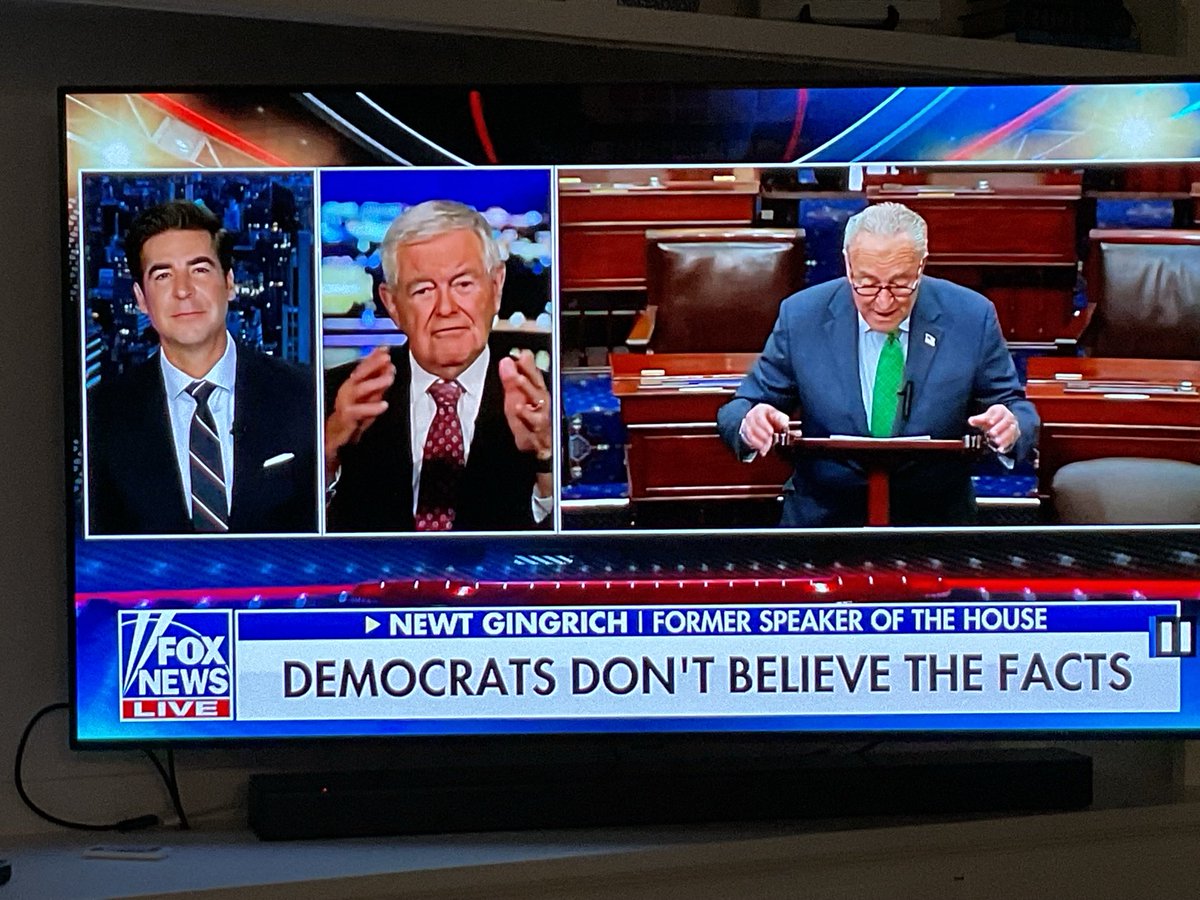 DrDaveRB's tweet image. Gingrich:
“There are 2 wings of the Democrat Party now, ‘the timid in hiding’ (Schumer), and ‘the crazy’.”
