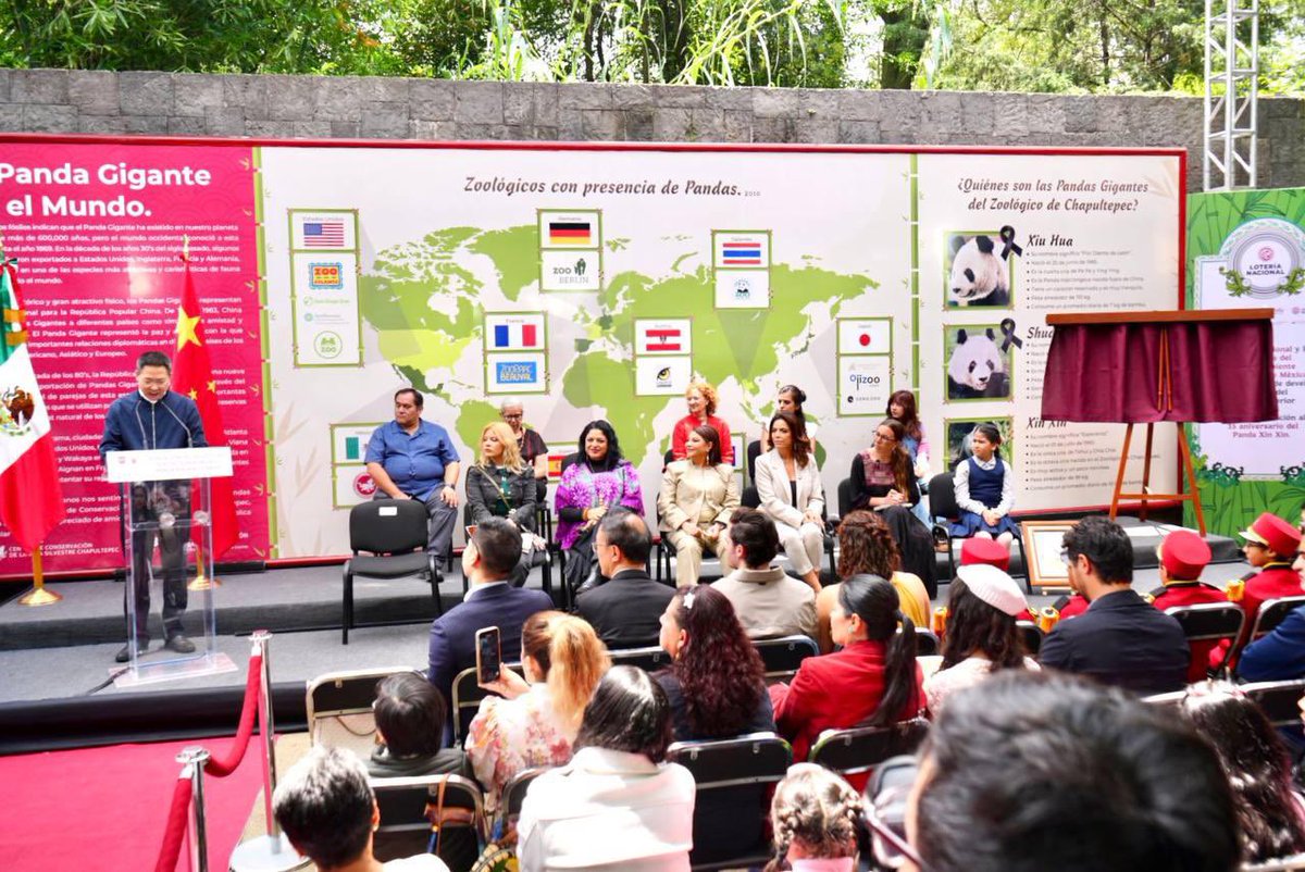 SEDEMA_CDMX's tweet image. La secretaria @Jualicra acompañó a la #JefaDeGobierno, @ClaraBrugadaM, en la develación del billete del Sorteo Superior 2853 de la @lotenal, emitido en conmemoración del 35 aniversario de Xin Xin. 🐼🎋
Este billete rinde homenaje a Xin Xin, quien no solo representa un símbolo…