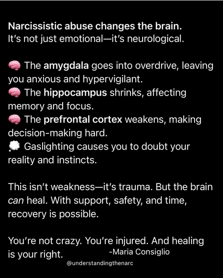 The Narcissist Box tweet media