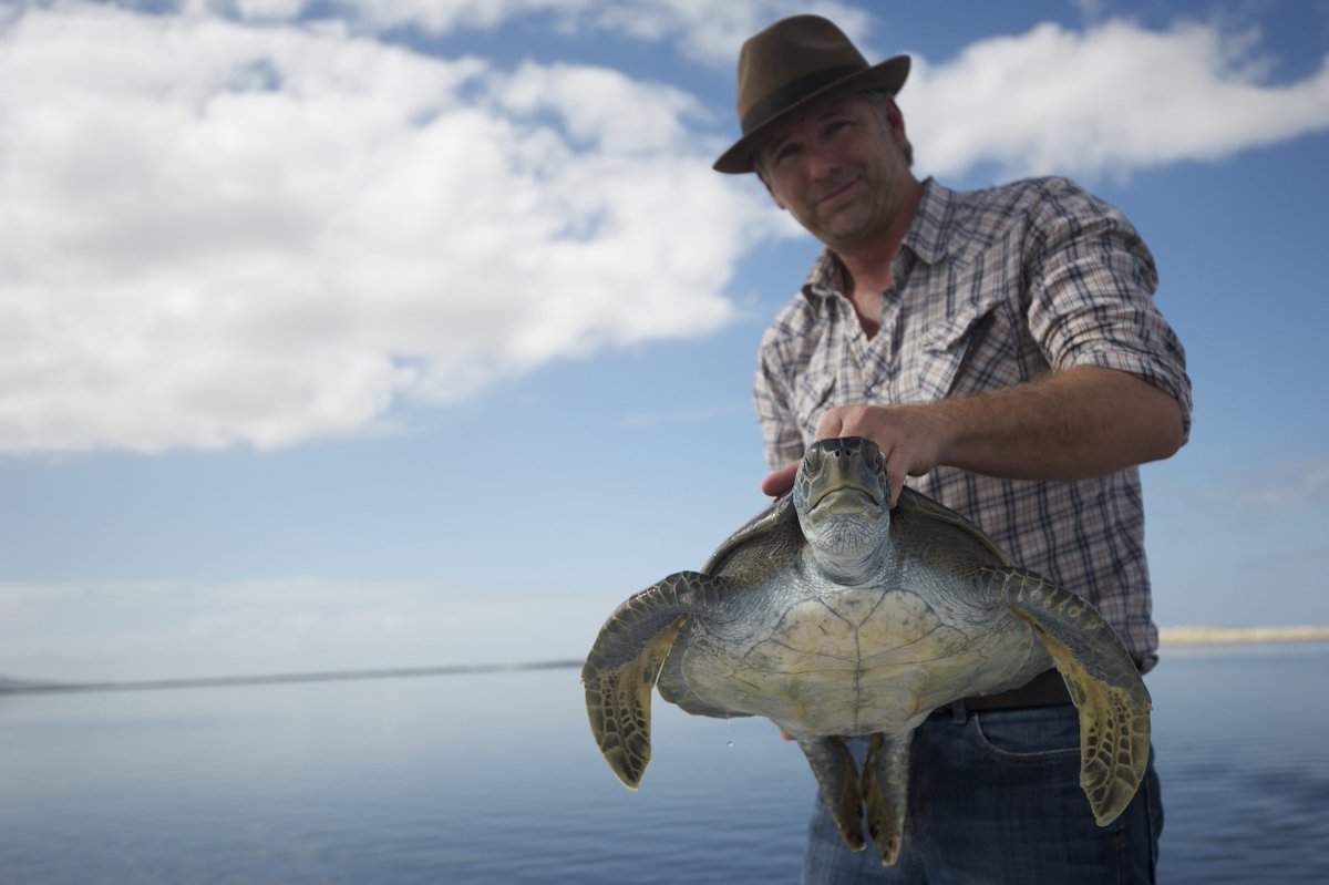 SEEturtles's tweet image. 💙 Today is #WorldBlueMindDay 💙
Celebrate the healing power of water — for our minds, hearts & planet.
We honor @see_turtles co-founder Dr. Wallace J. Nichols, who sparked a global Blue Mind movement. 🌊
Take a moment near water today.
🕊️ Donate: gofundme.com/f/Nichols-memo…