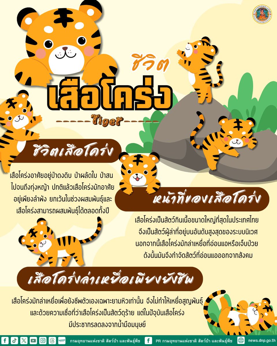 🐯ชีวิตของเสือโคร่ง , หน้าที่ของเสือโคร่ง , เสือโคร่งล่าเหยื่อเพื่อยังชีพ🦌

🐅 มีการจัดกิจกรรม ในวันอังคารที่ 29 กรกฎาคม 2568 ณ โรงเรียนวัดทัพหลวง จังหวัดอุทัยธานี

#กรมอุทยานแห่งชาติ #วันเสือโคร่งโลก #29กรกฎาคม #GlobalTigerDay #วันเสือโคร่งโลก2568 #สัตว์ป่าคุ้มครอง #prdnp