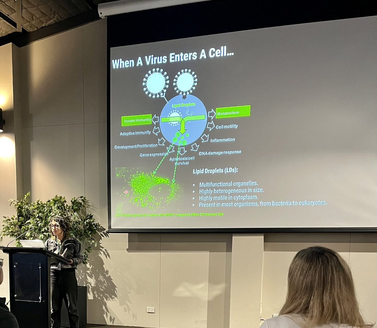 GrasLab's tweet image. We started with some great talks in session 1 of the ASI VIC/TAS conference @ImmunoGroupVic with @TimetogoZ who just finished her PhD with the @HelbigLab @SABE_latrobe @LIMSLTU and who is looking for a Postdoc position so contact her if you are recruiting 😉